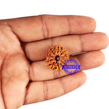 Load image into Gallery viewer, 10 Mukhi Nepalese Rudraksha - Bead No. 422