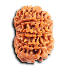 Load image into Gallery viewer, 10 Mukhi Nepalese Rudraksha - Bead No. 434