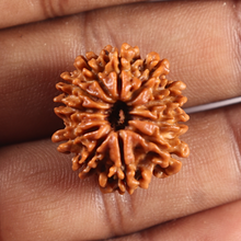 Load image into Gallery viewer, 11 Mukhi Nepalese Rudraksha - Bead No. 404
