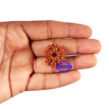 Load image into Gallery viewer, 11 Mukhi Nepalese Rudraksha - Bead No. 374