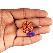 Load image into Gallery viewer, 11 Mukhi Nepalese Rudraksha - Bead No. 375