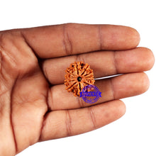Load image into Gallery viewer, 11 Mukhi Nepalese Rudraksha - Bead No. 379