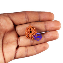 Load image into Gallery viewer, 11 Mukhi Nepalese Rudraksha - Bead No. 382