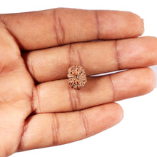 Load image into Gallery viewer, 12 Mukhi Indonesian Rudraksha - Bead No. 312