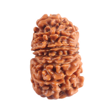Load image into Gallery viewer, 12 Mukhi Nepalese Rudraksha - Bead No 396