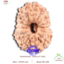 Load image into Gallery viewer, 14 mukhi Indonesian Rudraksha - Bead No. 138