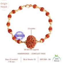 Load image into Gallery viewer, 13 Mukhi Wrist Band (Nepalese) - Type 2