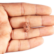 Load image into Gallery viewer, 13 Mukhi Indonesian Rudraksha - Bead No 284