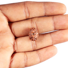Load image into Gallery viewer, 13 Mukhi Indonesian Rudraksha - Bead No 286