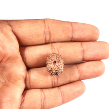 Load image into Gallery viewer, 14 mukhi Indonesian Rudraksha - Bead No. 334