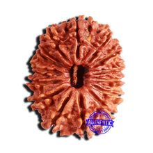 Load image into Gallery viewer, 15 Mukhi Rudraksha from Nepal - Bead No. 57