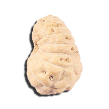 Load image into Gallery viewer, 14 mukhi Indonesian Rudraksha - Bead No. 350
