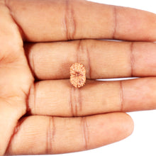 Load image into Gallery viewer, 15 Mukhi Indonesian Rudraksha - Bead No. 265
