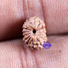 Load image into Gallery viewer, 15 Mukhi Indonesian Rudraksha - Bead No.295