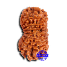 Load image into Gallery viewer, 15 Mukhi Rudraksha from Nepal - Bead No. 80