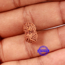 Load image into Gallery viewer, 16 Mukhi Rudraksha from Indonesia - Bead No. 291