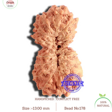 Load image into Gallery viewer, 17 Mukhi Rudraksha from Indonesia - Bead No. 178