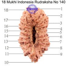 Load image into Gallery viewer, 18 Mukhi Rudraksha from Indonesia - Bead No. 140