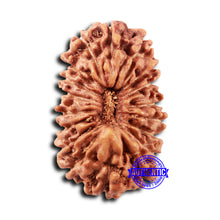 Load image into Gallery viewer, 18 Mukhi Rudraksha from Indonesia - Bead No. 232