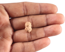 Load image into Gallery viewer, 18 Mukhi Rudraksha from Indonesia - Bead No. 249