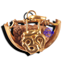 Load image into Gallery viewer, 1 Mukhi half moon shaped from India - Bead No. 350