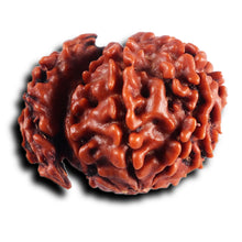 Load image into Gallery viewer, 1 Mukhi Savar Rudraksha from Nepal - Bead No.90