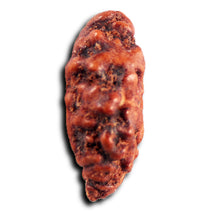 Load image into Gallery viewer, 1 Mukhi Rudraksha from Indonesia - Bead No.156