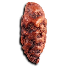 Load image into Gallery viewer, 1 Mukhi Rudraksha from Indonesia - Bead No.156