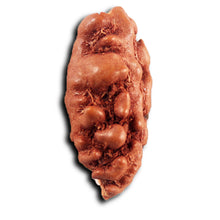 Load image into Gallery viewer, 1 Mukhi Rudraksha from Indonesia - Bead No.162