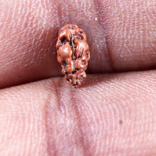Load image into Gallery viewer, 1 Mukhi Rudraksha from Indonesia - Bead No.167