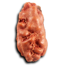 Load image into Gallery viewer, 1 Mukhi Rudraksha from Indonesia - Bead No.168