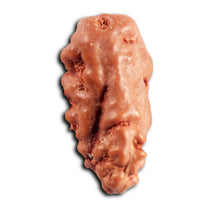Load image into Gallery viewer, 1 Mukhi Rudraksha from Indonesia - Bead No.174