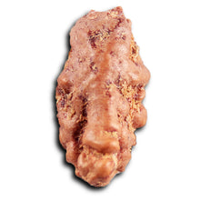 Load image into Gallery viewer, 1 Mukhi Rudraksha from Indonesia - Bead No.177