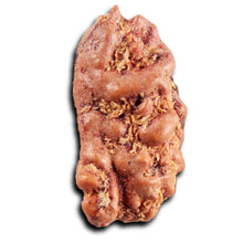 Load image into Gallery viewer, 1 Mukhi Rudraksha from Indonesia - Bead No.177