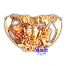 Load image into Gallery viewer, 1 Mukhi half moon shaped from India - Bead No. 309