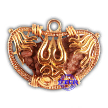 Load image into Gallery viewer, 1 Mukhi half moon shaped from India - Bead No. 313