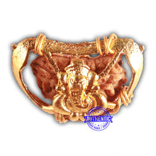 Load image into Gallery viewer, 1 Mukhi half moon shaped from India - Bead No. 314