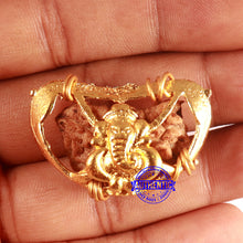 Load image into Gallery viewer, 1 Mukhi half moon shaped from India - Bead No. 314