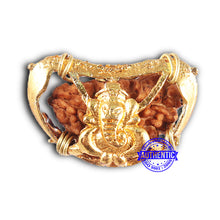 Load image into Gallery viewer, 1 Mukhi half moon shaped from India - Bead No. 336