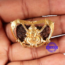 Load image into Gallery viewer, 1 Mukhi half moon shaped from India - Bead No. 337