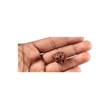 Load image into Gallery viewer, 1 Mukhi Savar Rudraksha from Nepal - Bead No. 95