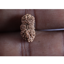 Load image into Gallery viewer, 20 Mukhi Indonesian Rudraksha - Bead 110