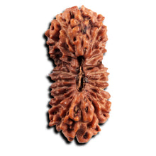 Load image into Gallery viewer, 21 Mukhi Indonesian Rudraksha - Bead No. 143