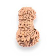 Load image into Gallery viewer, 21 Mukhi Indonesian Rudraksha - Bead No. 157
