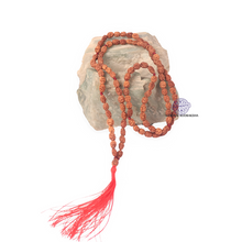 Load image into Gallery viewer, Regular 2 Mukhi Rudraksha Mala - 8 (32+1)