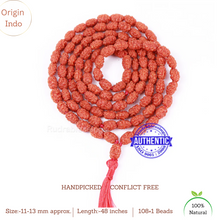 Load image into Gallery viewer, Smooth 2 Mukhi Rudraksha Mala - 6