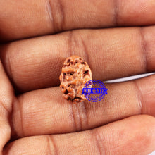 Load image into Gallery viewer, 2 Mukhi Rudraksha from Indonesia - Bead No. 229