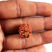 Load image into Gallery viewer, 2 Mukhi Rudraksha from Nepal - Bead No. 196