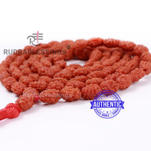 Load image into Gallery viewer, 3 Mukhi Agni Rudraksha Mala - 4