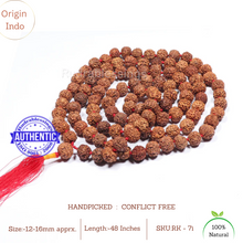 Load image into Gallery viewer, 7 Mukhi Rudraksha Kantha - (108+1 - Indonesian)